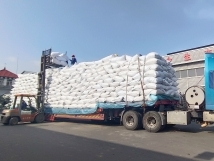 把握機遇、鉚足干勁、承勢而上