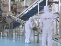 2025年的第一個月，承德亞歐果仁有限公司在山杏產(chǎn)業(yè)的道路上持續(xù)奮進，展現(xiàn)出蓬勃的發(fā)展活力。